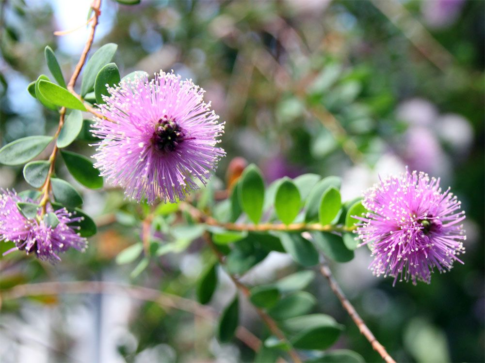 Bildergalerie Natur