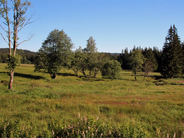 Šumava (Böhmerwald)