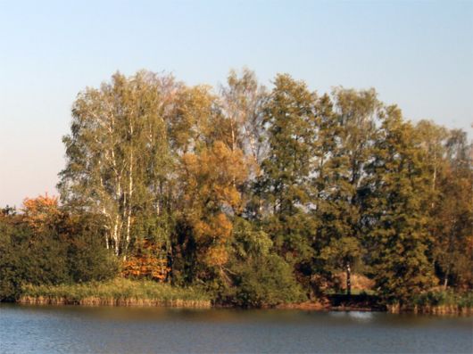 NSG Laußnitzer Heide in der Oberlausitz