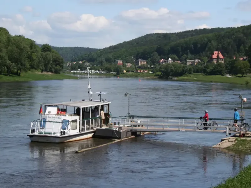 Elbfähre in Königstein