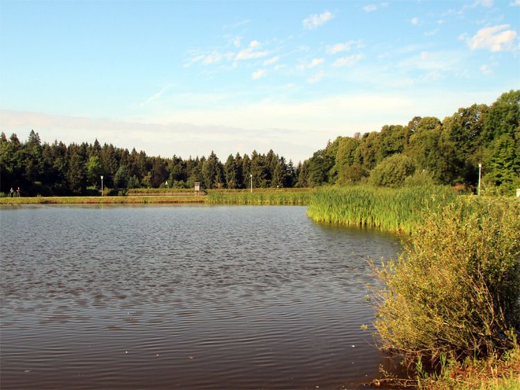 Clausthaler Teich auf der Oberharzer Hochebene